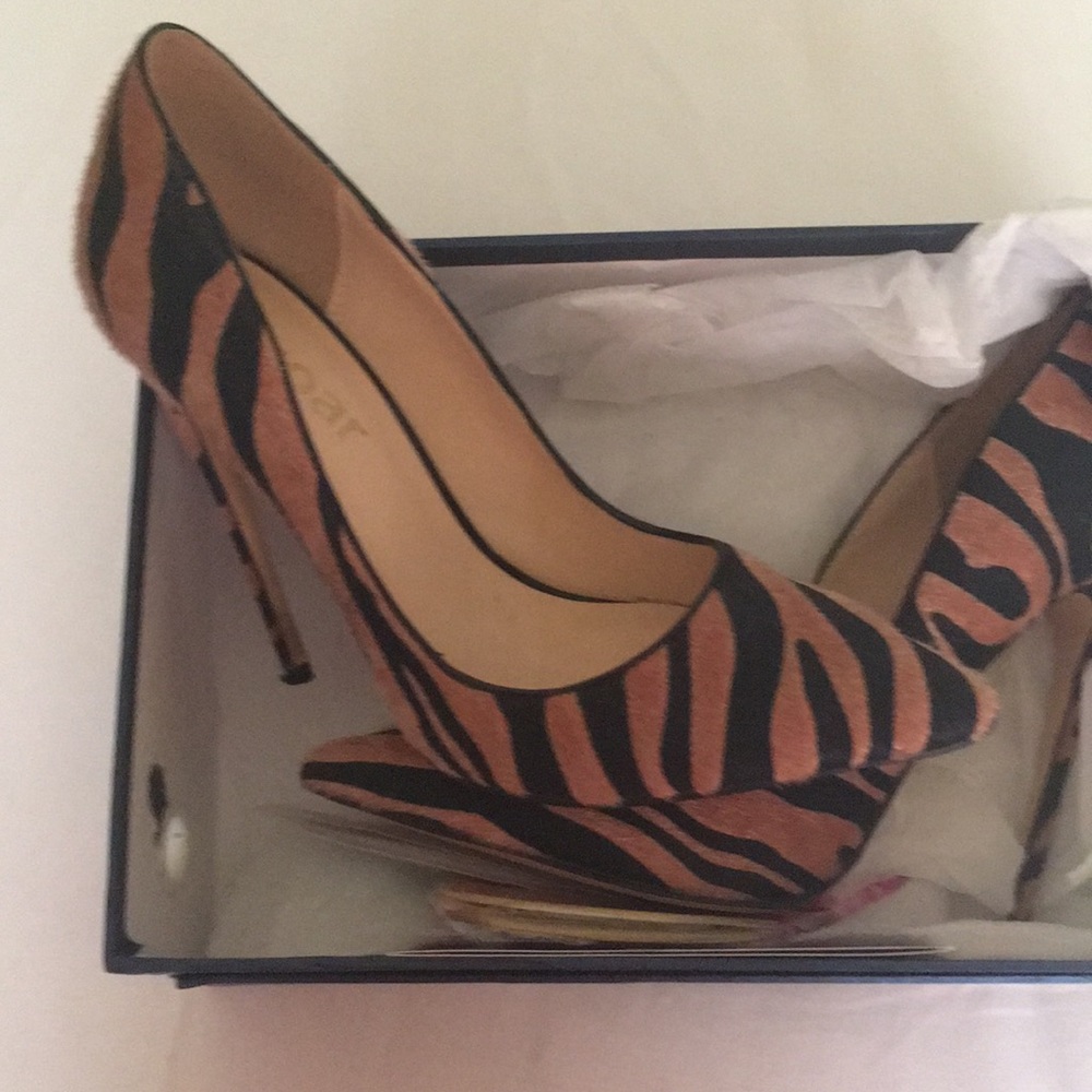 Pumps
